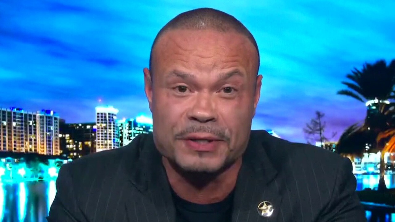 Bongino: Liberals have turned their cities over to the mob