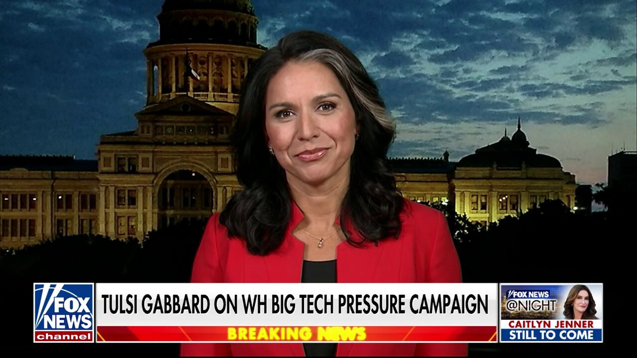 Tulsi Gabbard: I know the 'tricks' Kamala Harris will play to 'deflect' her record