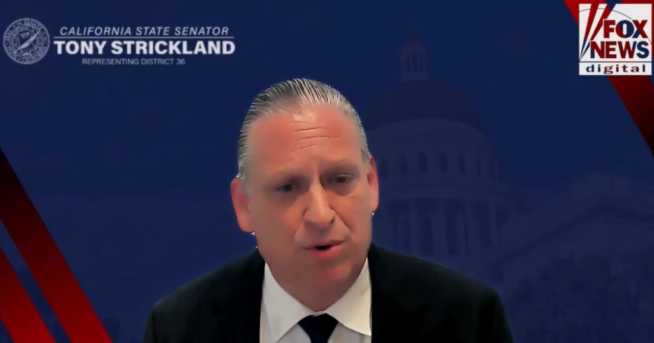 California state Sen. Tony Strickland demands long-term action after illegal immigrant DUI early release controversy
