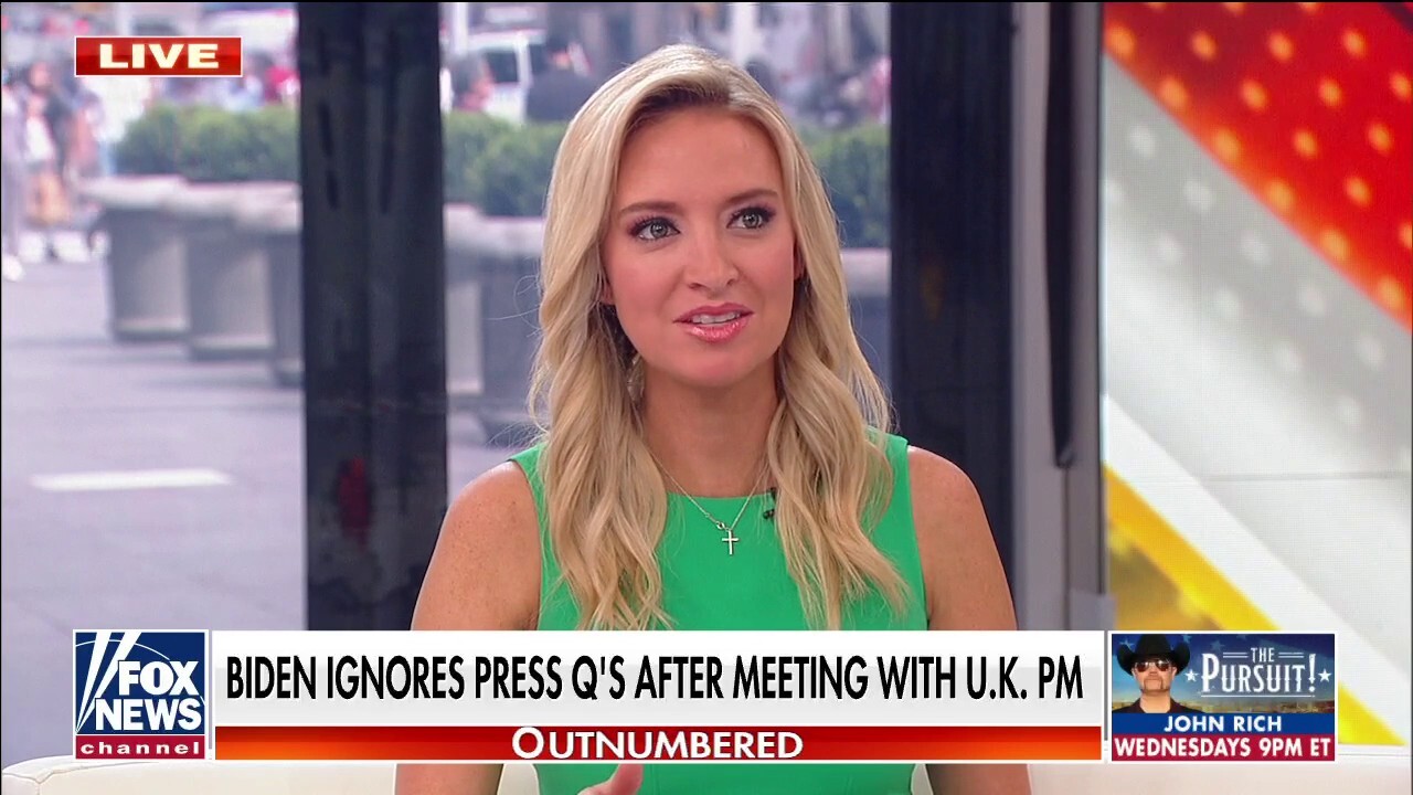 Kayleigh McEnany rips White House reporters over Biden complaint: 'Where were you when Biden was hiding in the basement?'