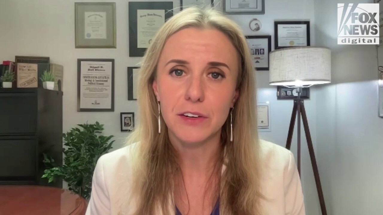 Defense and economics expert explains Pentagon's 'aversion' to cutting outdated weapons systems
