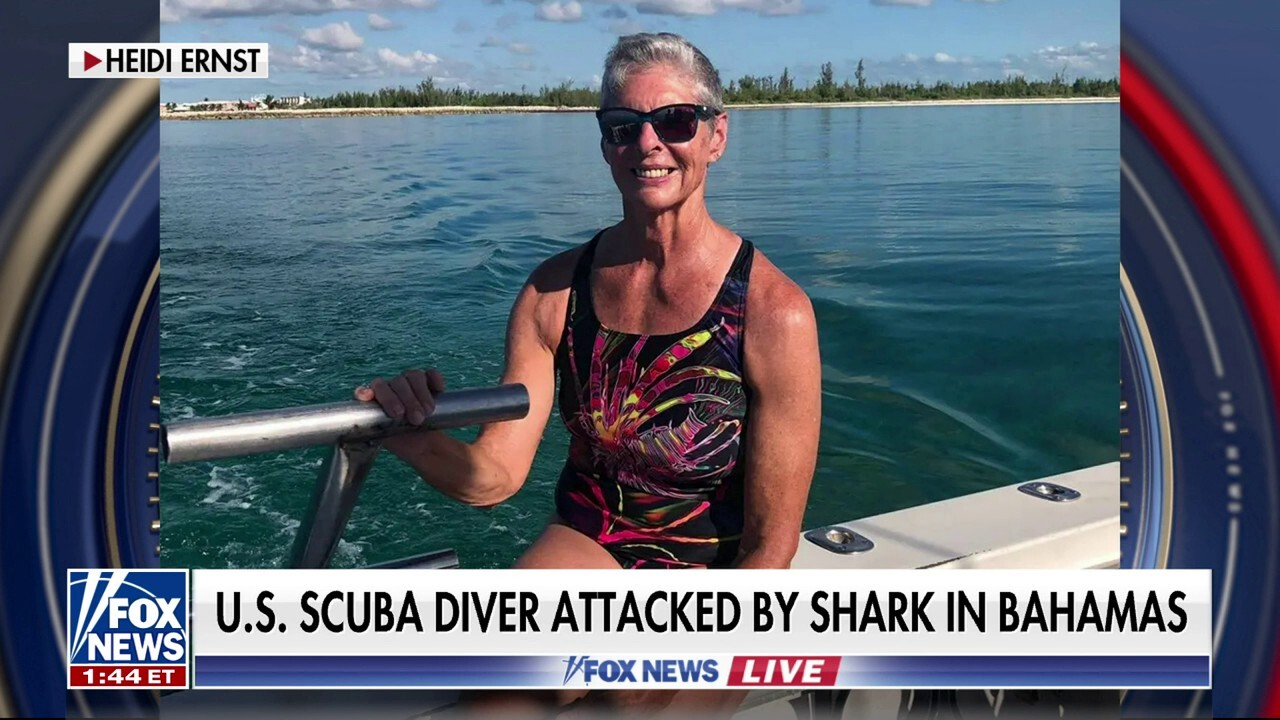 US tourist attacked by shark in the Bahamas 