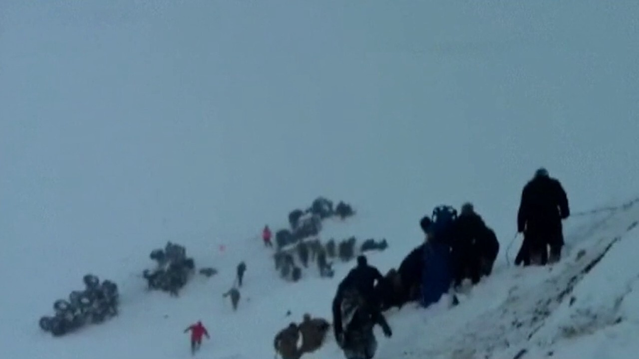 Rescue crews in Turkey hit by avalanche while searching for survivors of previous slide