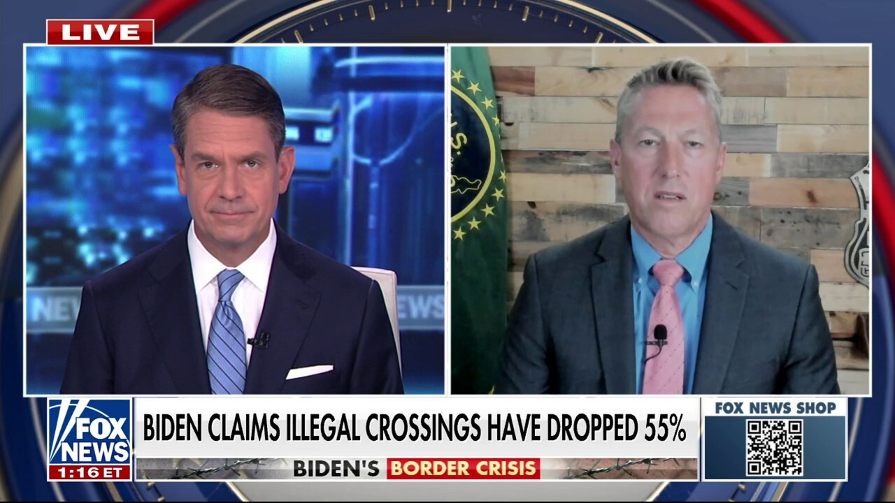 Harris didn't have meaningful conversations about slowing the flow of migrants: Former Border Patrol Chief