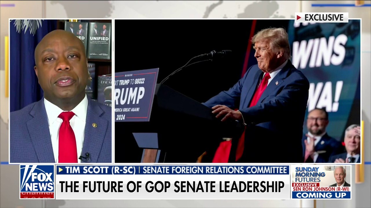 Republicans' new Senate leader should work 'hand-in-glove' with President Trump: Tim Scott