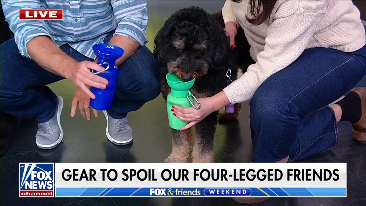 DIY expert Chip Wade joins 'Fox & Friends' to discuss the best pet gear for this summer.
