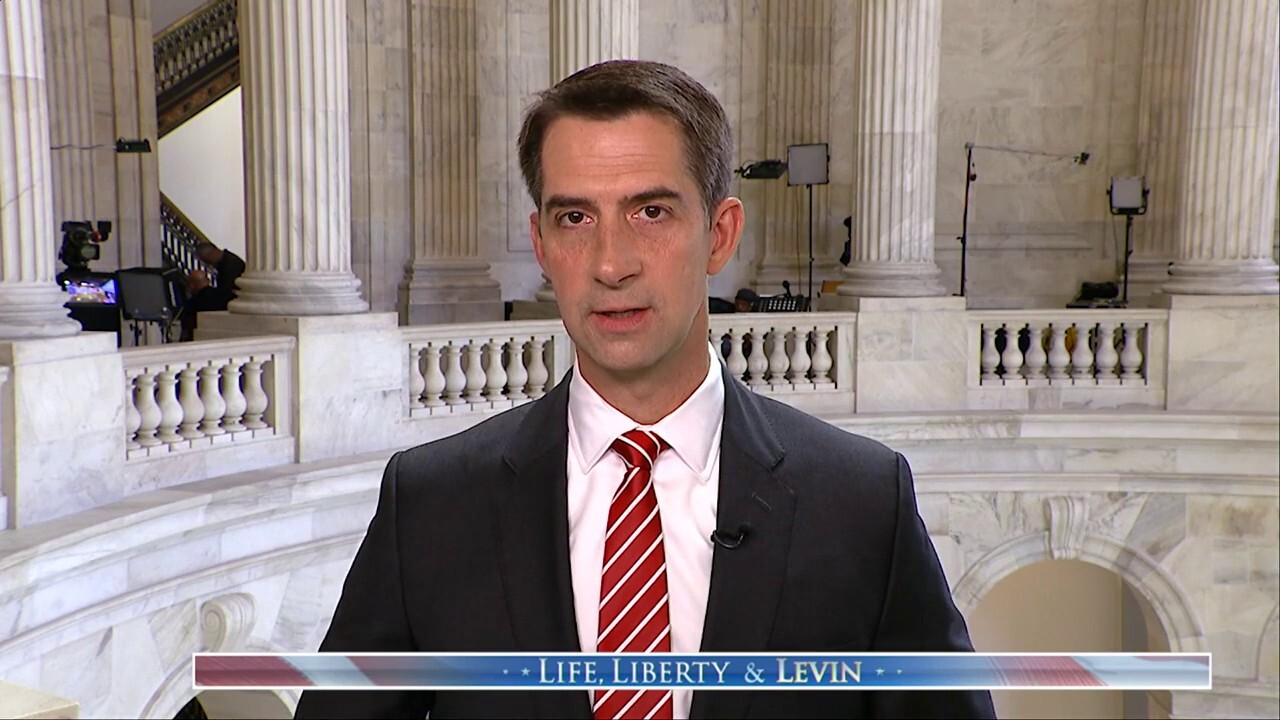 Tom Cotton warns arrest of alleged ISIS-tied migrants in US is 'just the tip of the iceberg'