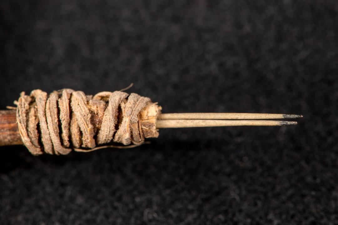 Ancient tattooing tool discovered in North America