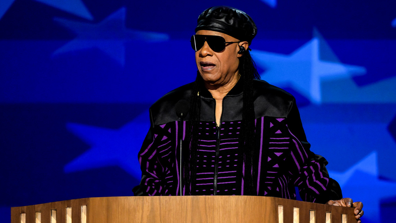 Stevie Wonder addresses the DNC