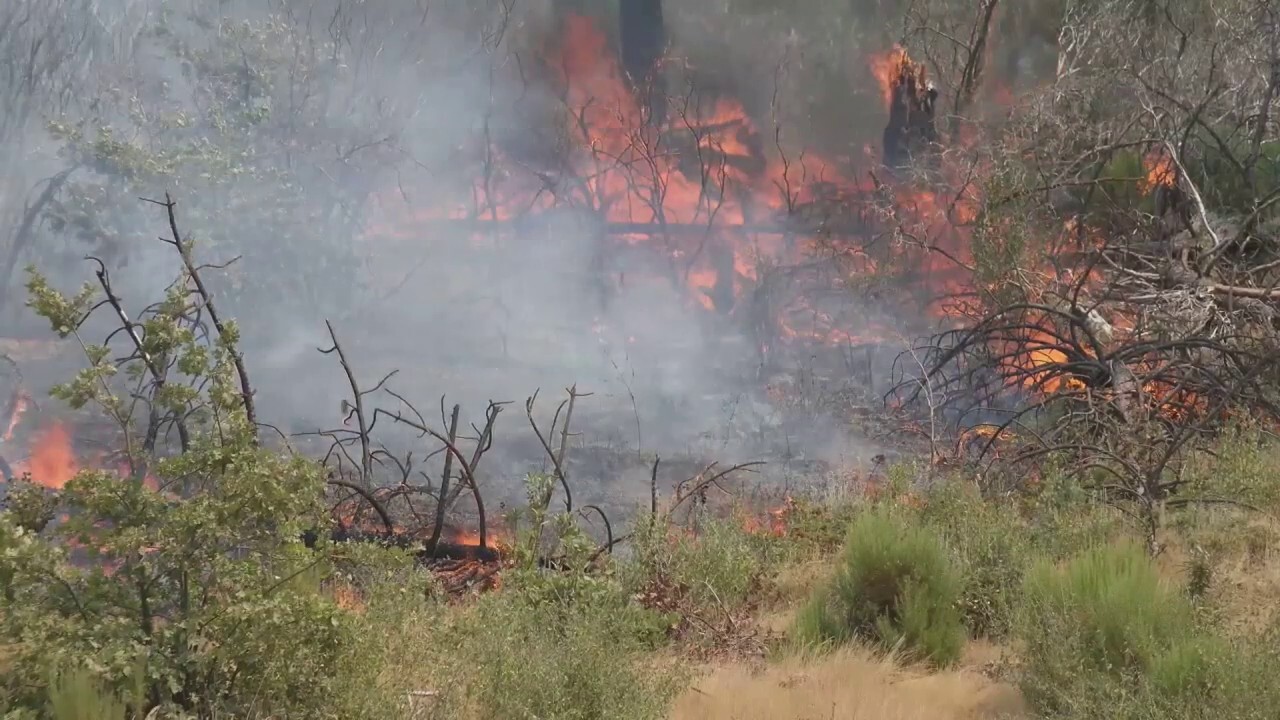 California wildfire burns in Mariposa, near Yosemite National Park