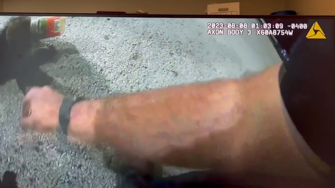 Ohio police remove jar from raccoon’s head