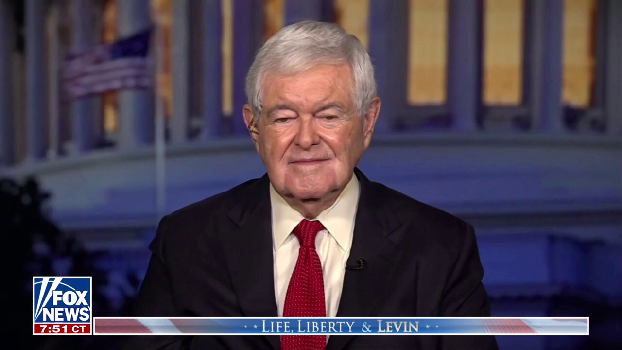We won't tolerate 'dictatorship by judge,' says Newt Gingrich