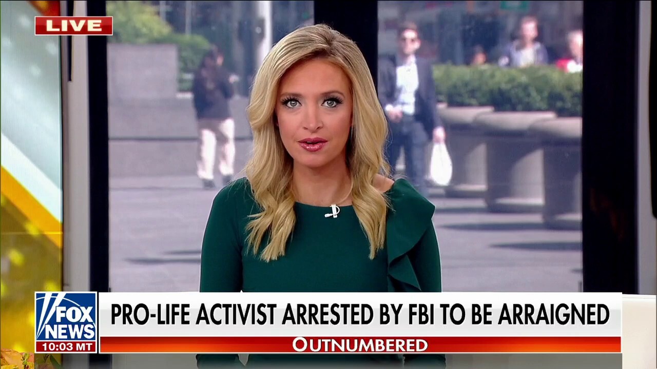Kayleigh McEnany: Something has gone awry in this country