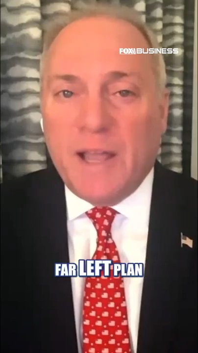 'REAL TELLING SIGN': House majority leader WARNS over Dems' 'RADICAL' agenda