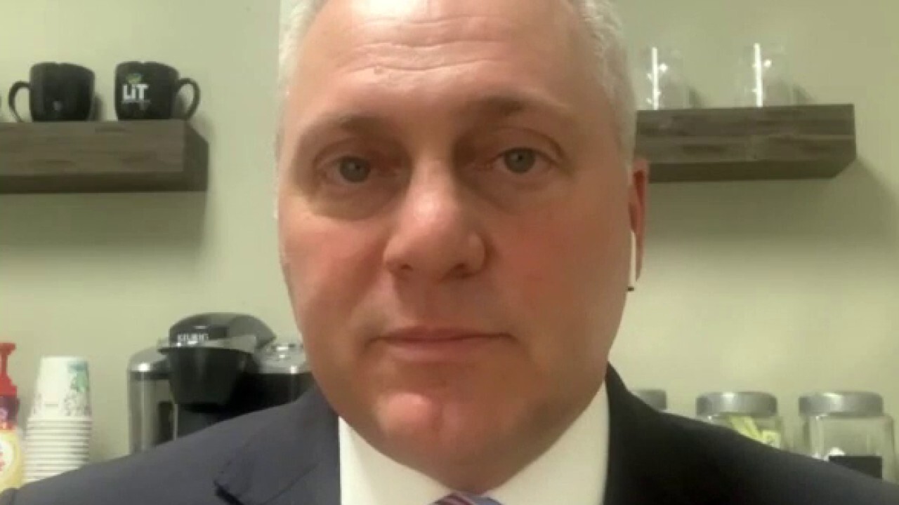 Rep. Steve Scalise on protesters confronting Sen. Rand Paul: People are fed up with mob rule	