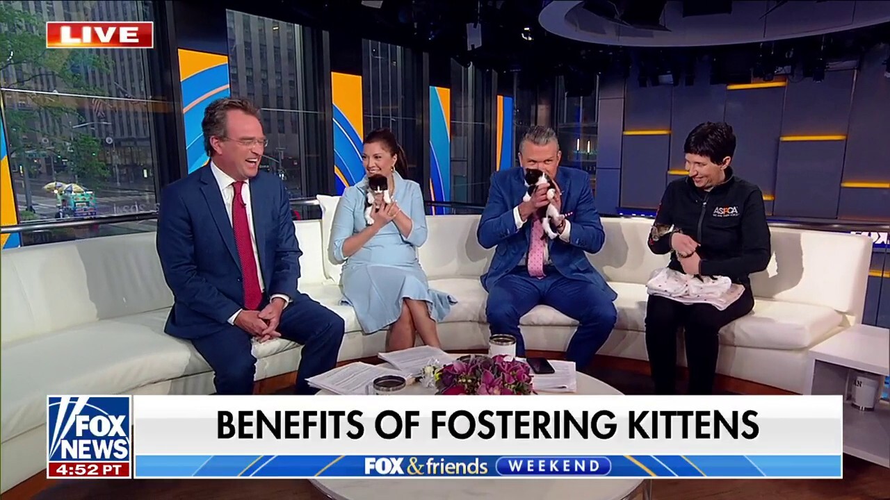  ASPCA Senior Behavior Manager Adi Hovav joins 'Fox & Friends Weekend' to explain the benefits of adopting kittens.