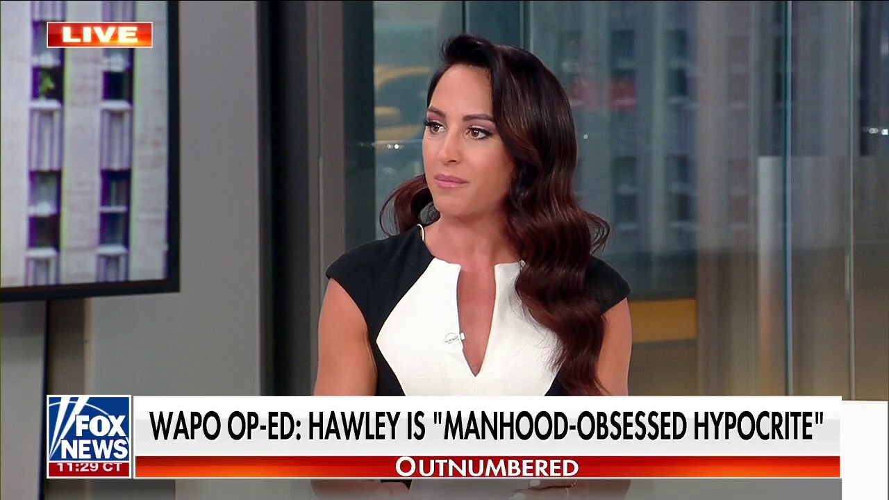 WaPo op-ed slamming Hawley as ‘manhood-obsessed hypocrite’ is ‘preposterous:’ Compagno