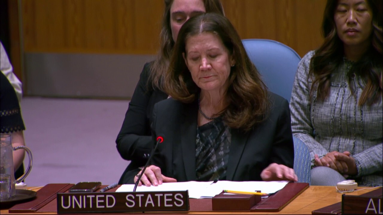 US vetoes anti-Israel UN Security Council resolution 