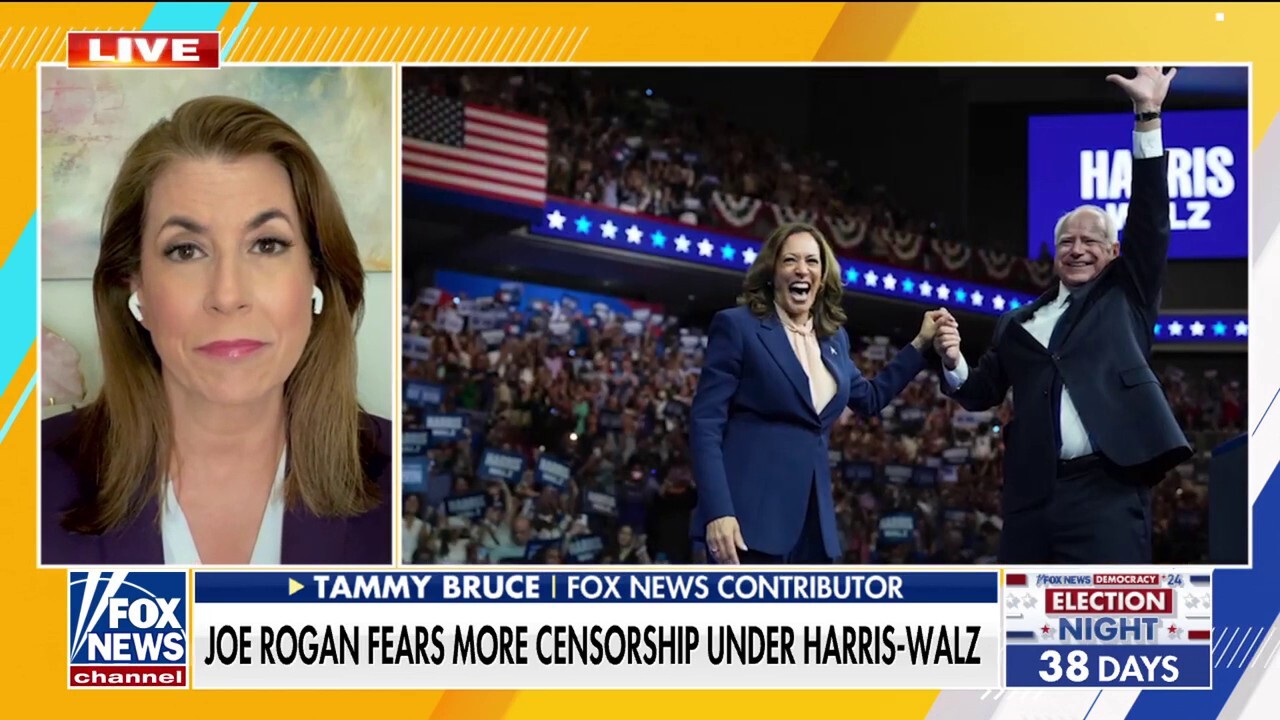 Tammy Bruce on Elon Musk's role in preserving freedom of speech: 'Only way we can make sure it stays relevant'