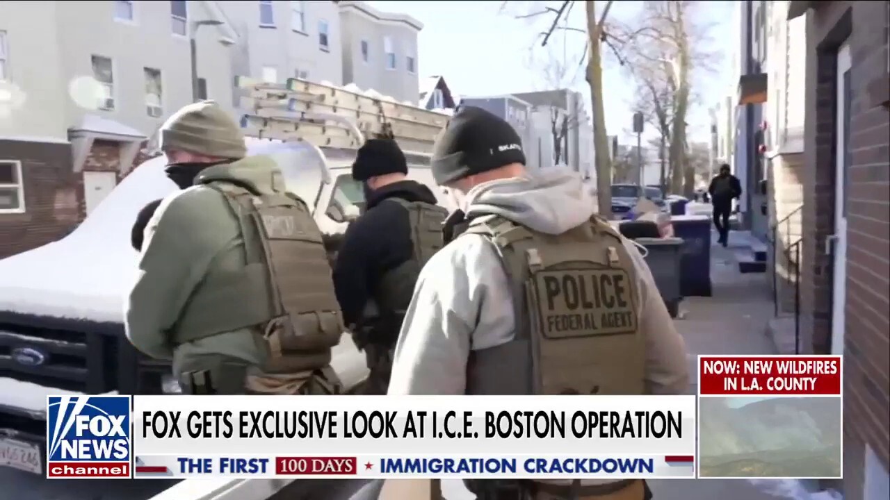 Criminal migrant lashes out at Trump during arrest by ICE