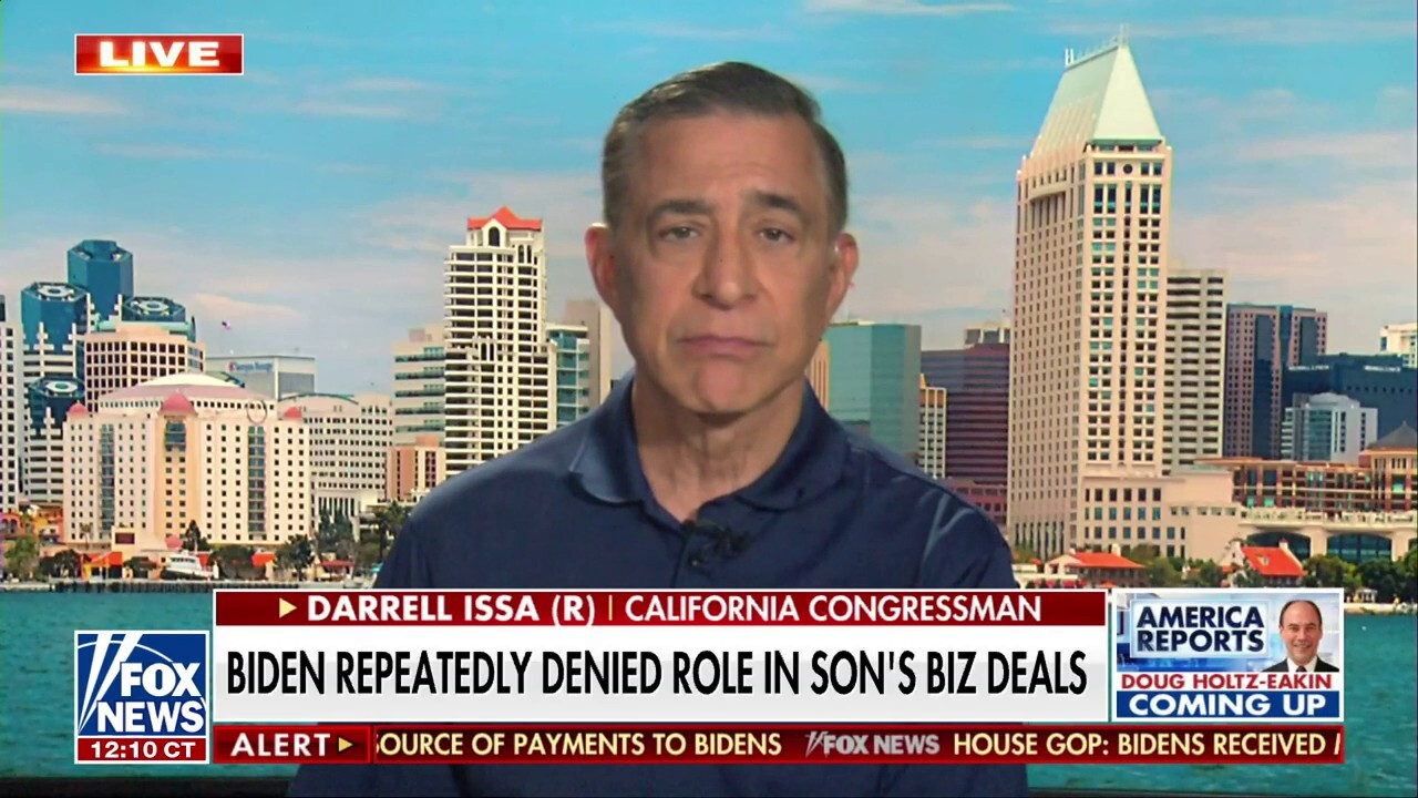 Joint Biden bank account makes ‘no sense at all’: Rep. Darrell Issa