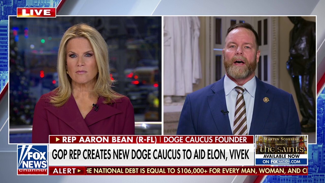  Rep. Aaron Bean, R-Fla., discusses the DOGE Caucus to aid Elon Musk and Vivek Ramaswamy in cutting government waste on 'The Story.'