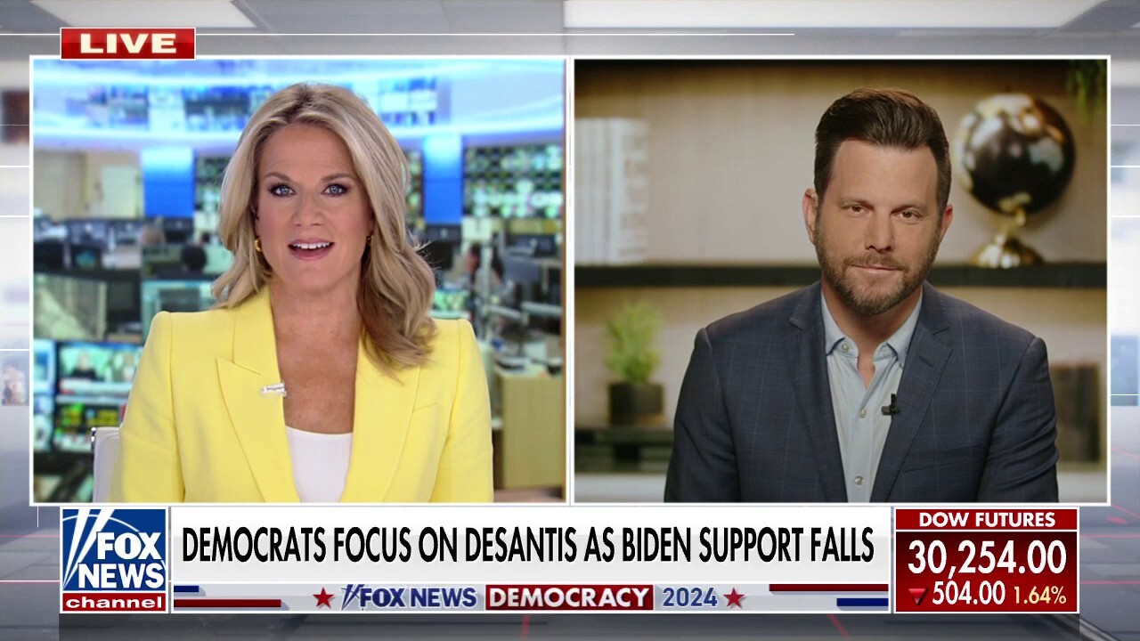 Dave Rubin: People who move to Florida are 'liberals mugged by reality'