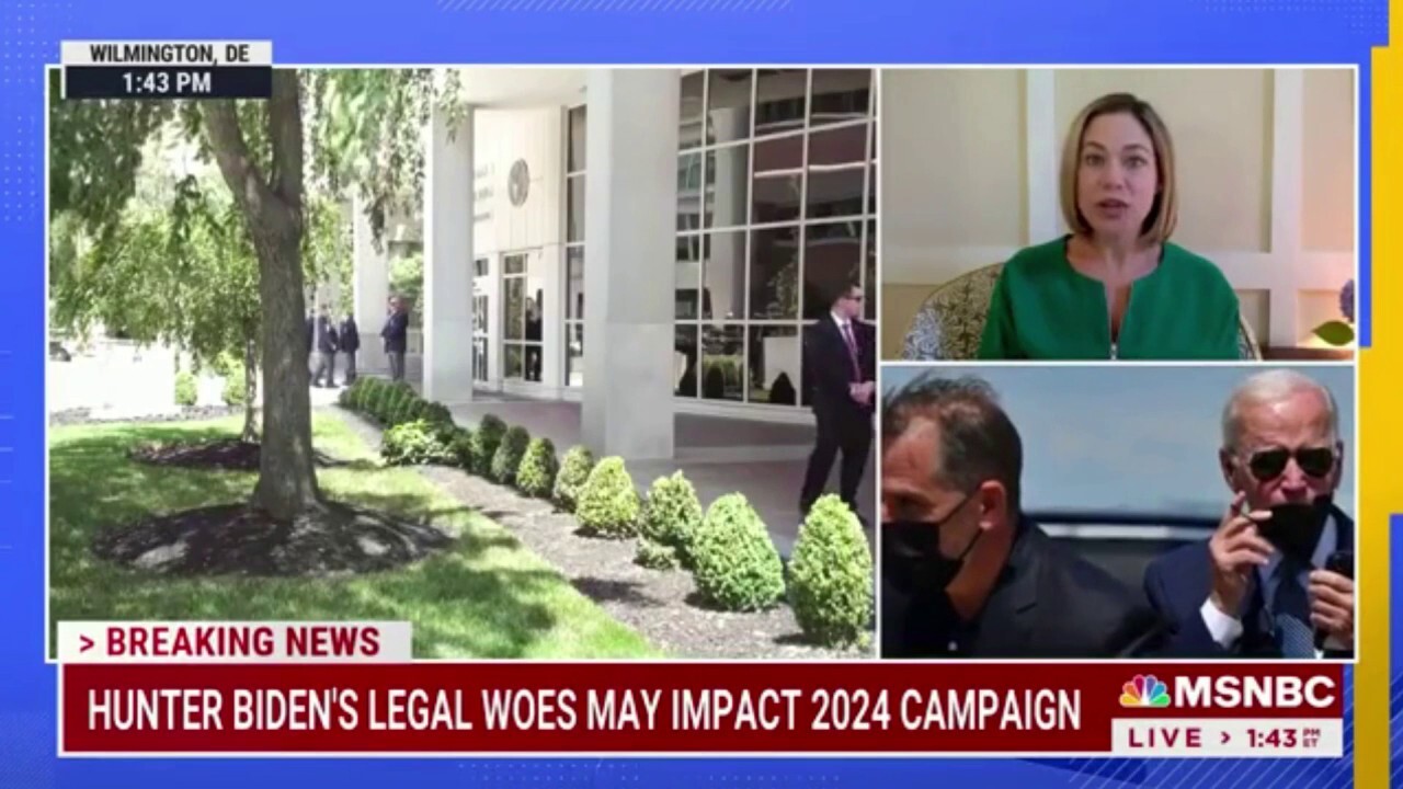 MSNBC analyst calls out Biden for ignoring Hunter's legal woes, seventh grandchild: 'Political malpractice'