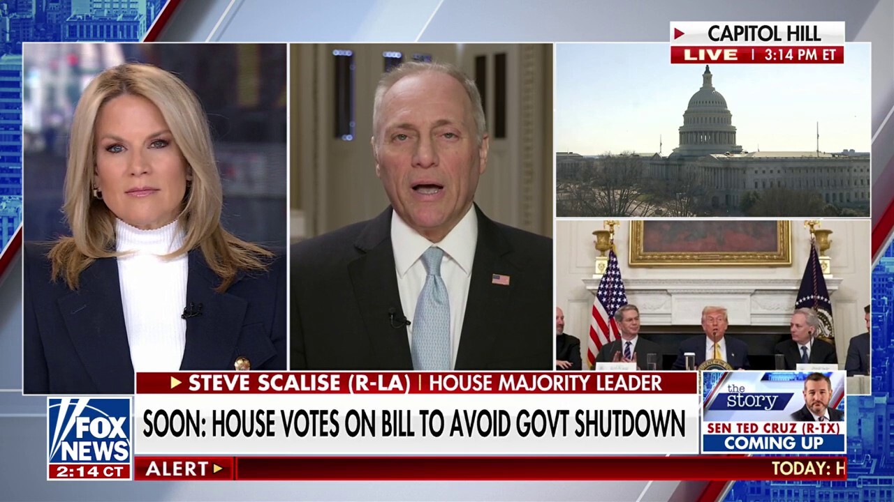 Dems want to 'have it both ways' by blaming GOP for shutdown, House Majority leader argues