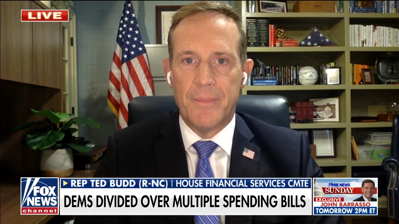  Infrastructure bill is a 'Trojan horse' for more socialism: Ted Budd