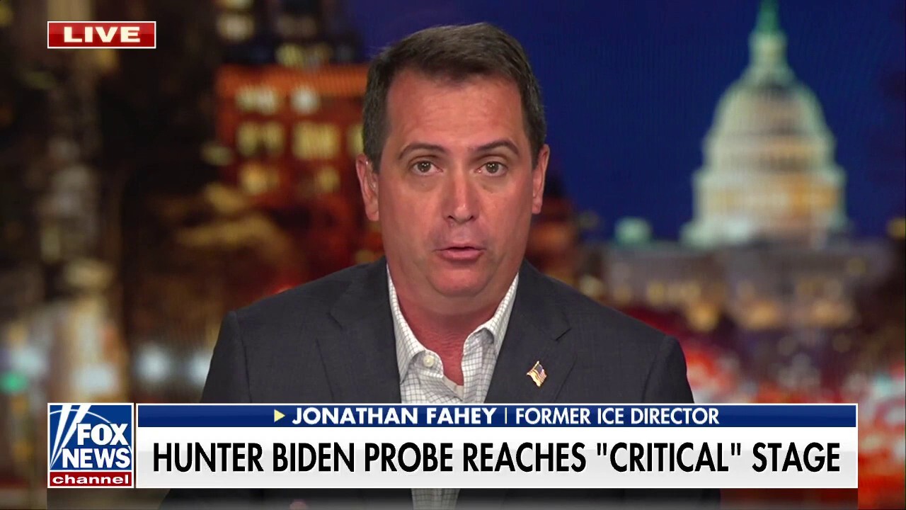 Former ICE Director on Hunter Biden probe: The public needs to know if this case is being treated fairly 