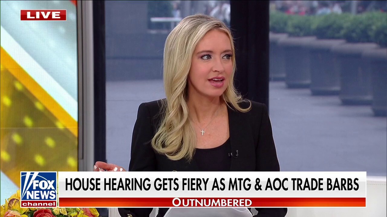 Kayleigh McEnany reacts to fiery House hearing after lawmakers trade jabs: 'What a disgrace'