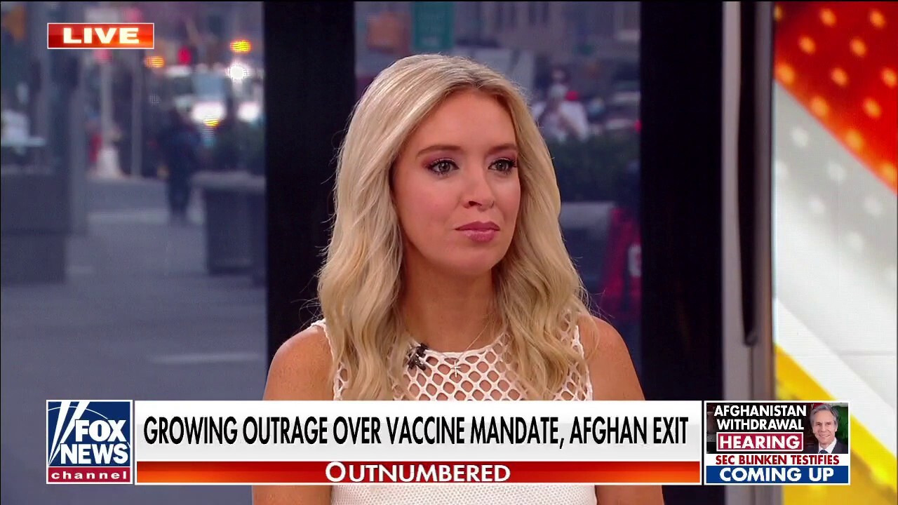 McEnany blasts White House leadership: We have 'naive neophytes' running the country