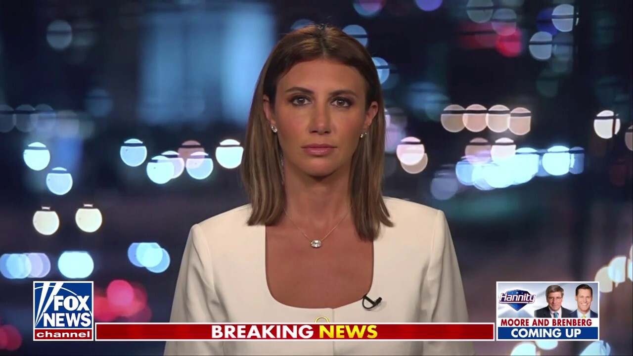 Alina Habba explains where the DC ‘panic is coming from’
