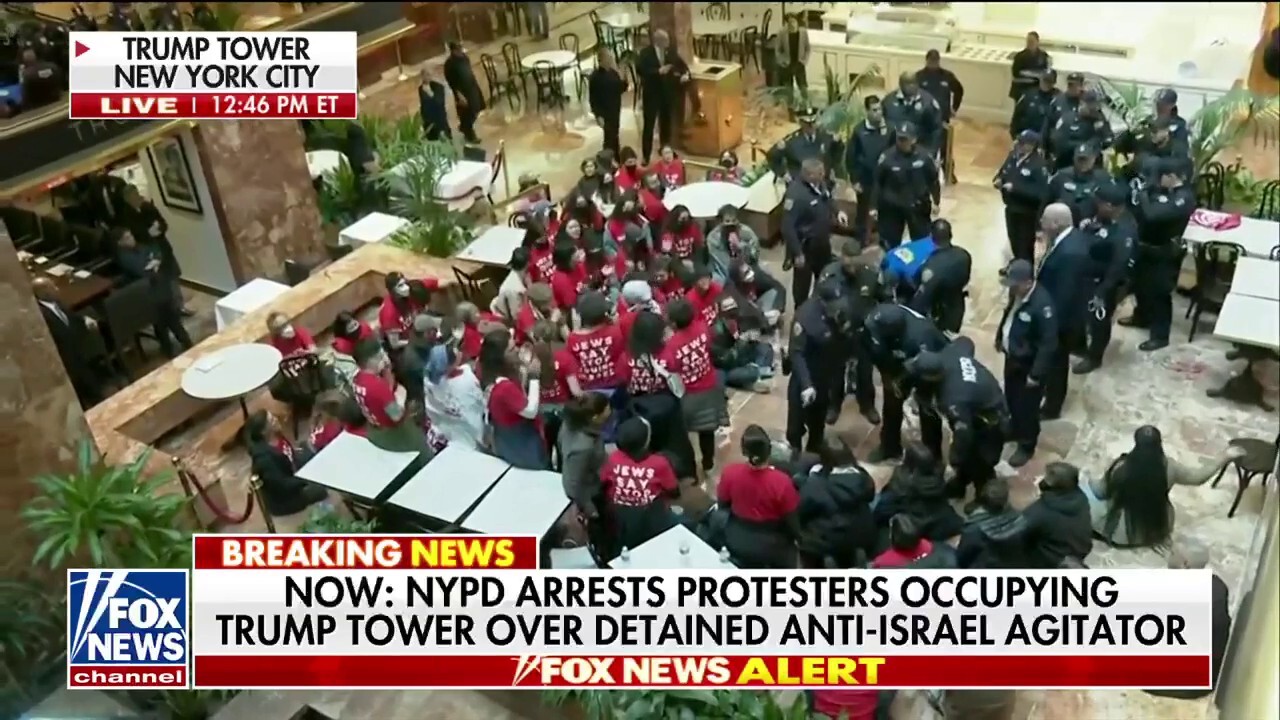 Protesters storm Trump Tower in NYC, demand release of Mahmoud Khalil