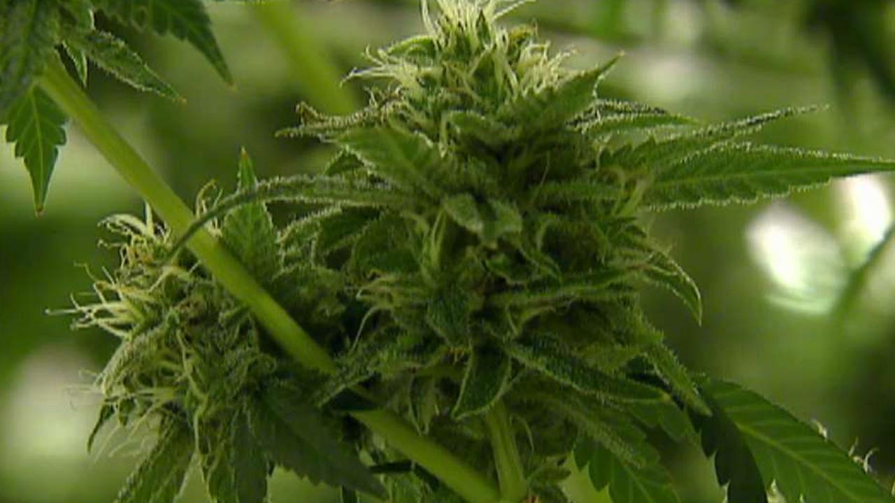 Braddock, Pennsylvania looks to medical marijuana for jobs