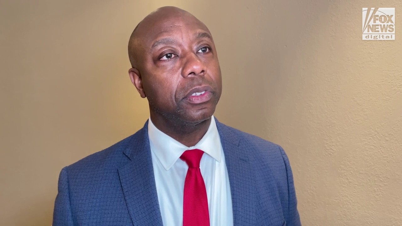 Sen. Tim Scott of South Carolina tells Fox News Digital, ‘I thought our performance was strong’ in the first debate and he wants ‘to make sure that we do it again’ in the second showdown.