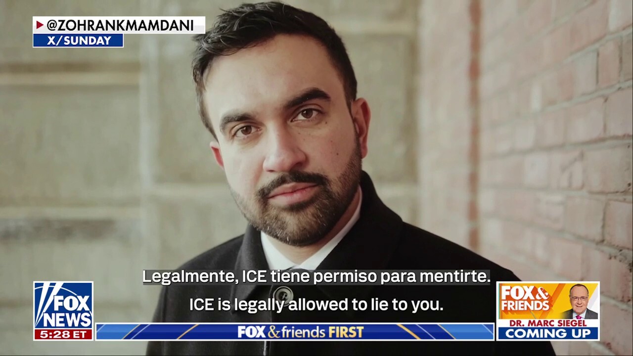 Mamdani has been 'extremely clear' with his position on immigration, former NYC councilman says