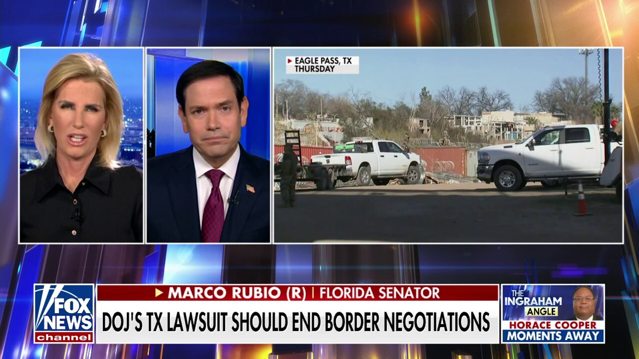  The laws have to be executed by the executive branch: Marco Rubio
