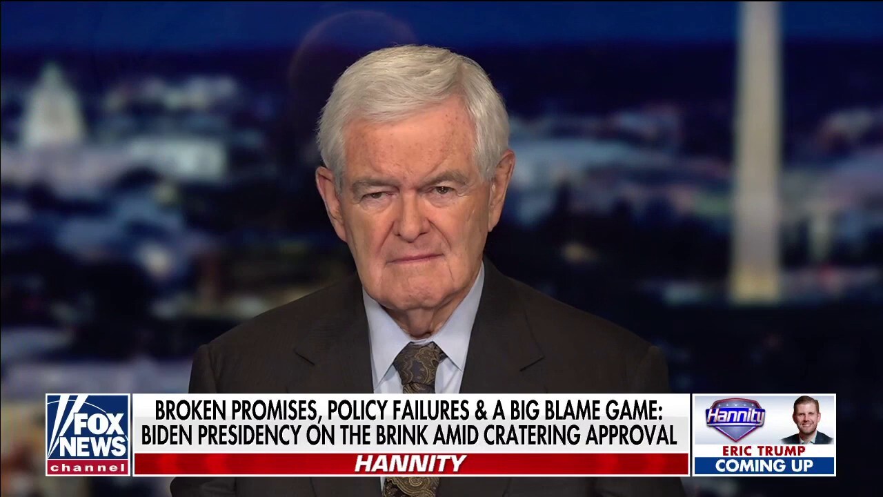 Newt Gingrich: Democratic government is waging war on Americans