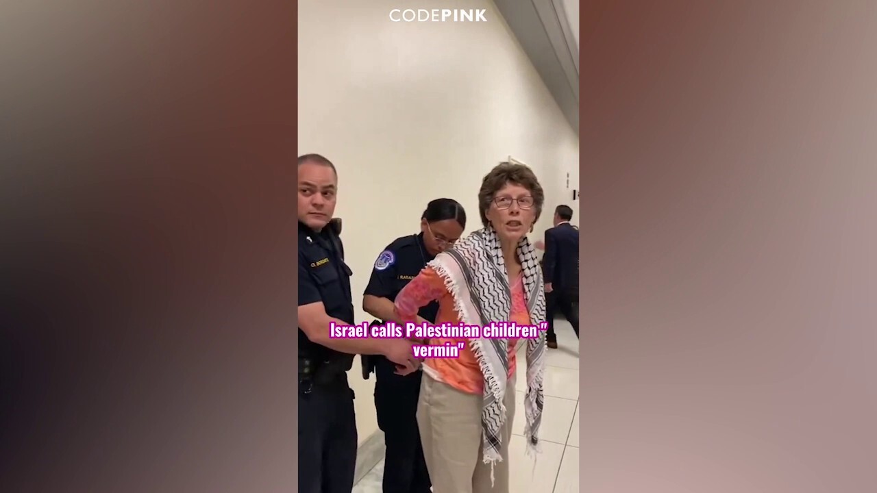 Code Pink confronts Defense Secretary Austin about Israel