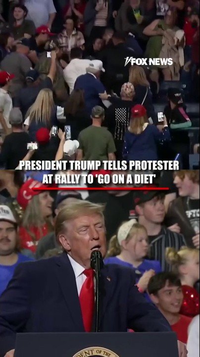 Trump takes aim at protestor