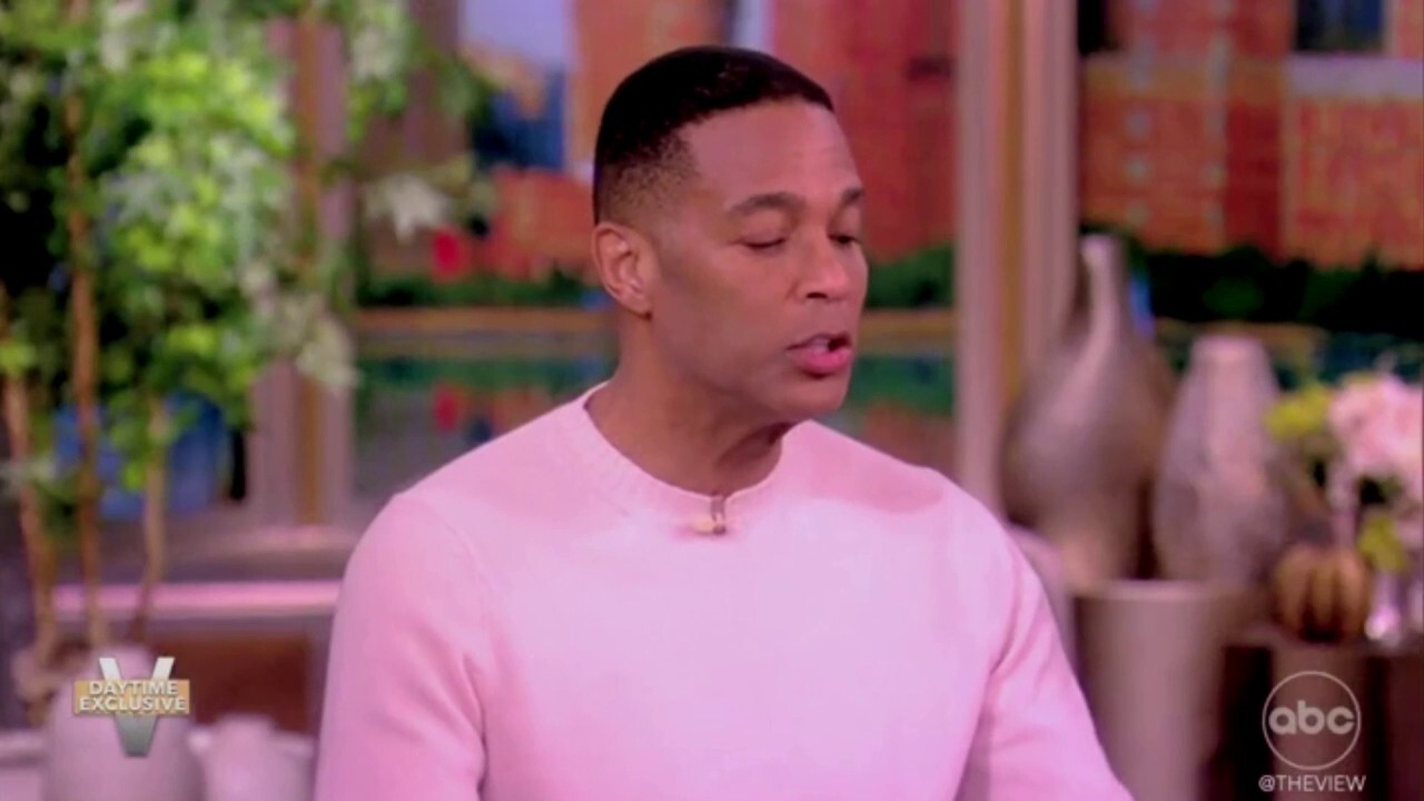 Don Lemon responds to Musk cancelling his partnership with X on ‘The View’: ‘I was doing my job’