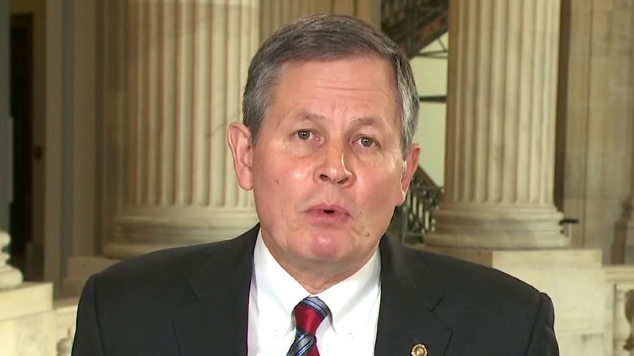 Sen. Daines on whether Congress will pass coronavirus relief bill: ‘Something’s going to get done’