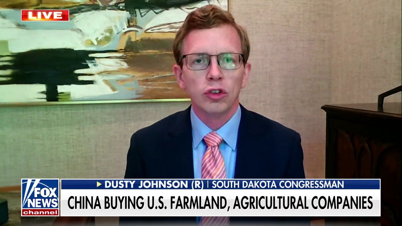 Rep. Johnson on China buying farmland: 'Food security is national security'