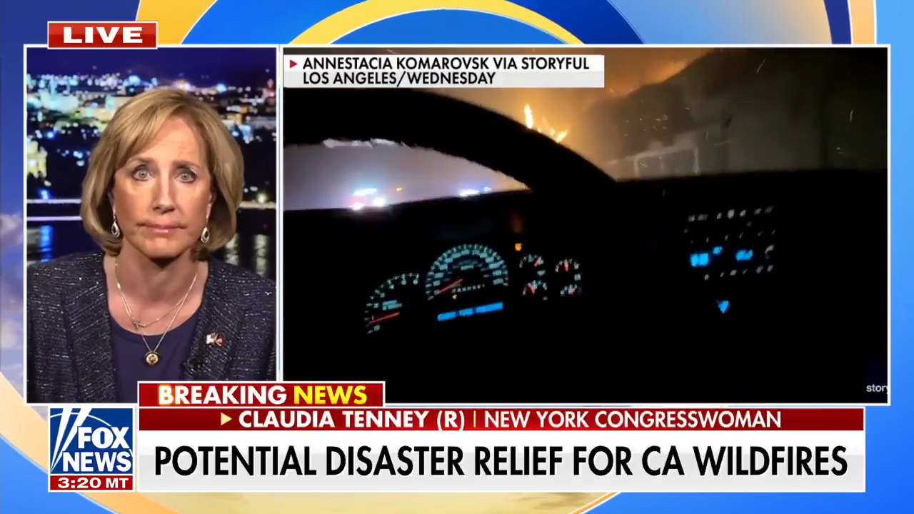 California Democrats slammed for 'bad policies' leading up to wildfires: 'Hard to watch'