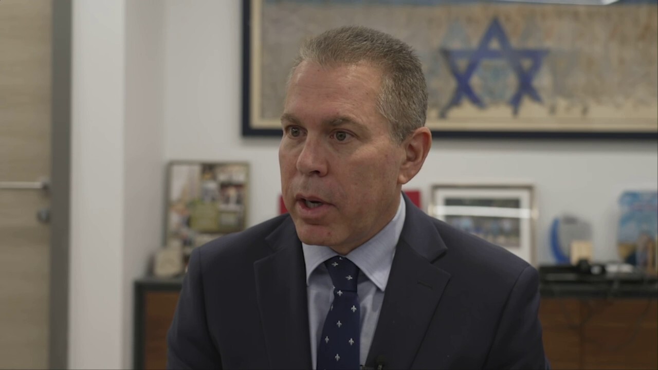 Israel's UN Ambassador Gilad Erdan appalled at Hamas support in NYC, but grateful for Americans who support Israel