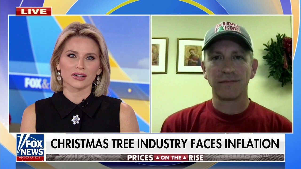 Christmas tree industry battling inflation as prices soar 