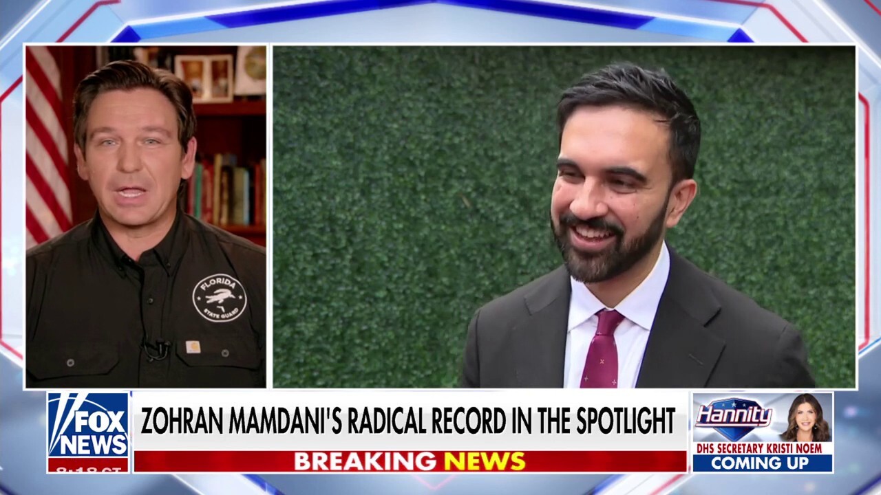 Florida Gov. Ron DeSantis exposes Zohran Mamdani's radical record and touts the layout of 'Alligator Alcatraz' on 'Hannity.'