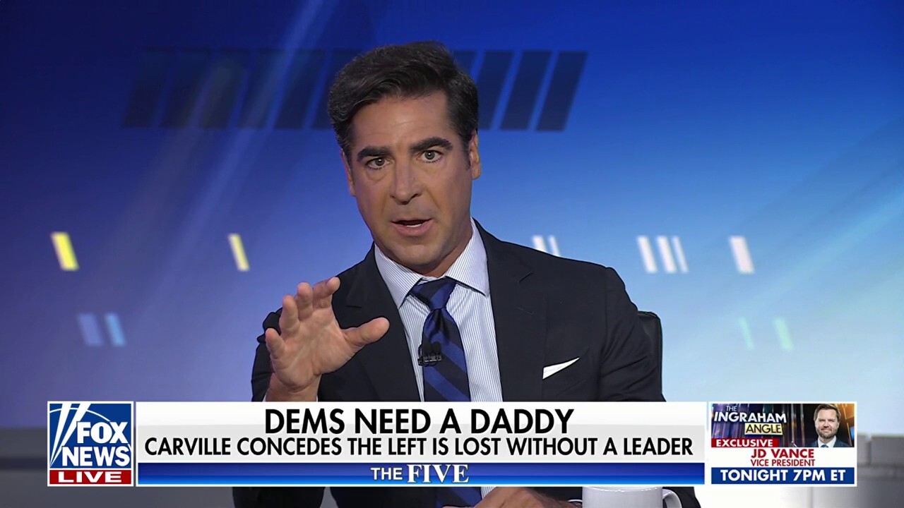 Jesse Watters: There are no 'dads' in the Democratic Party